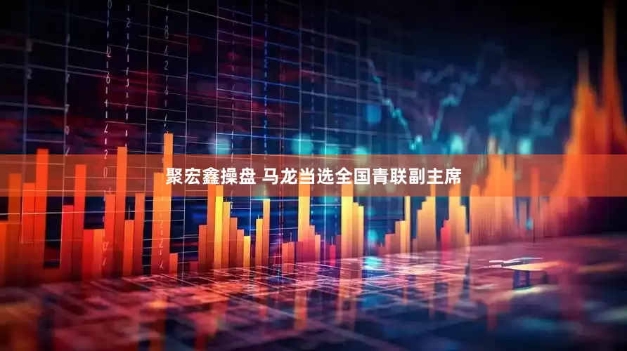 聚宏鑫操盘 马龙当选全国青联副主席