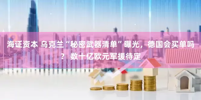 海证资本 乌克兰“秘密武器清单”曝光，德国会买单吗？ 数十亿欧元军援待定