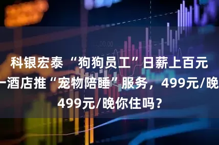 科银宏泰 “狗狗员工”日薪上百元！武汉一酒店推“宠物陪睡”服务，499元/晚你住吗？